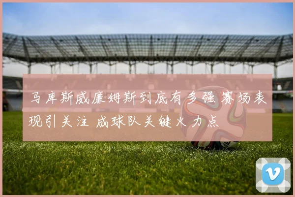 马库斯威廉姆斯到底有多强 赛场表现引关注 成球队关键火力点